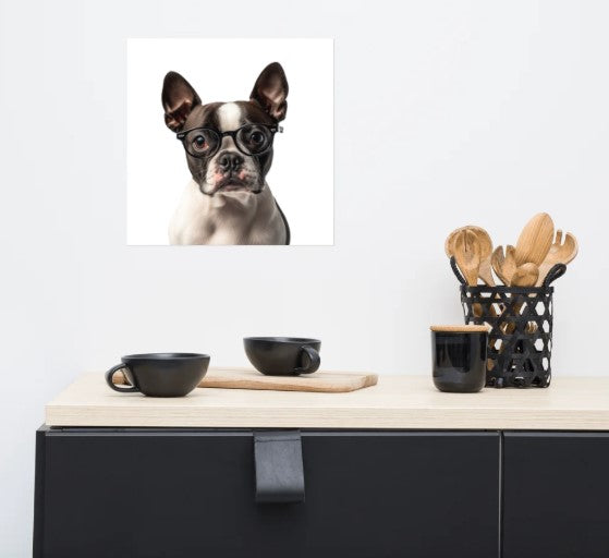 Boston Terrier (with glasses) wall art poster, unframed