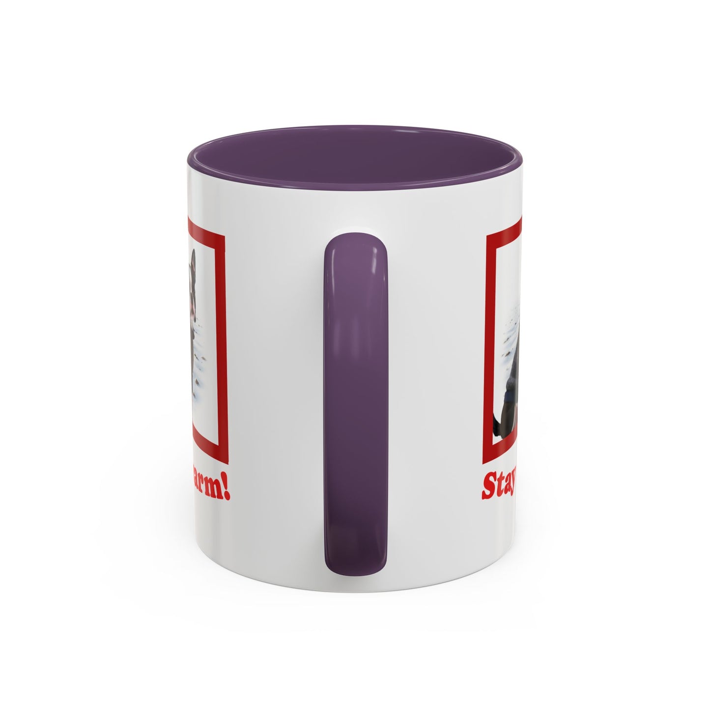 Two-tone Accent 11 oz Coffee Mug w/ Boston Terrier Sweater Dog, by TokyoBill