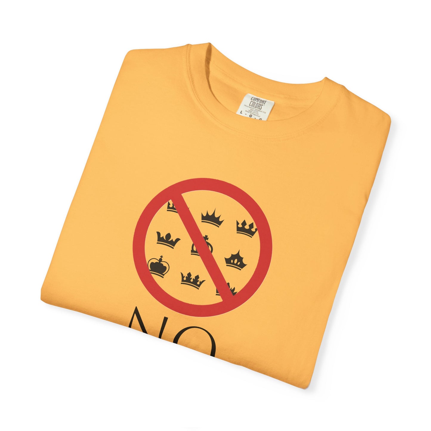 No Kings T-Shirt | Anti-Tyranny Democracy Tee | Political Protest Gift | Unisex