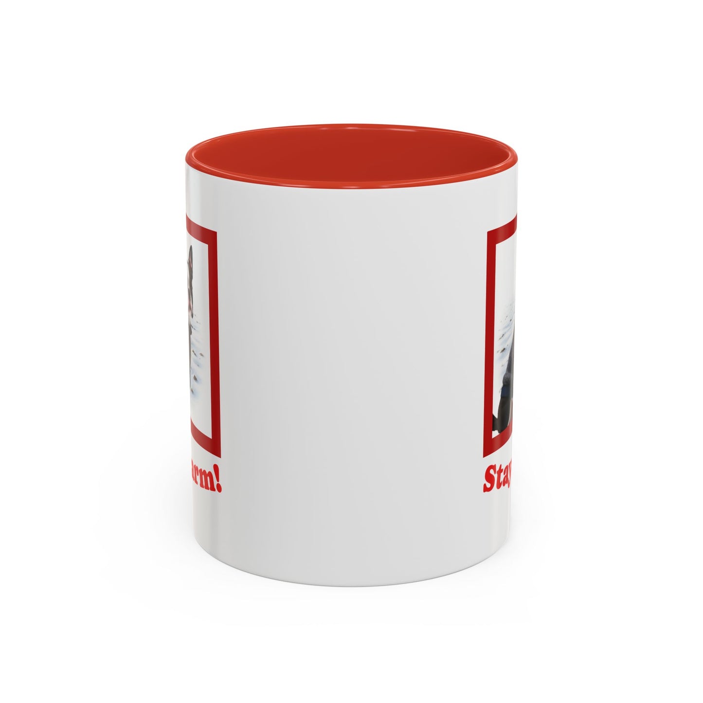 Two-tone Accent 11 oz Coffee Mug w/ Boston Terrier Sweater Dog, by TokyoBill