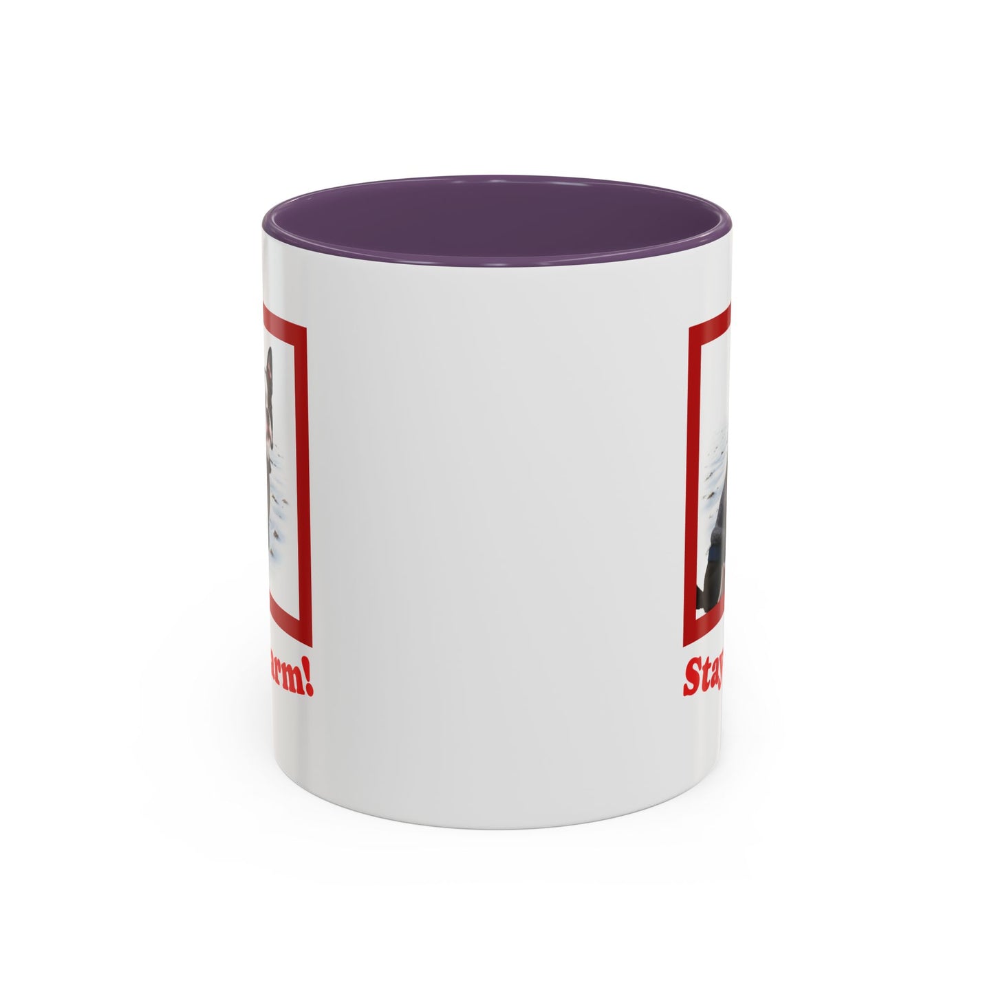 Two-tone Accent 11 oz Coffee Mug w/ Boston Terrier Sweater Dog, by TokyoBill