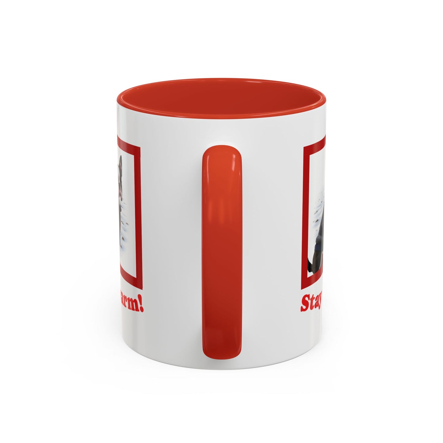 Two-tone Accent 11 oz Coffee Mug w/ Boston Terrier Sweater Dog, by TokyoBill