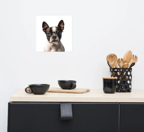 Boston Terrier (with glasses) wall art poster, unframed