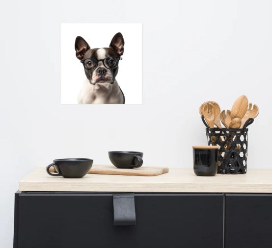 Boston Terrier (with glasses) wall art poster, unframed