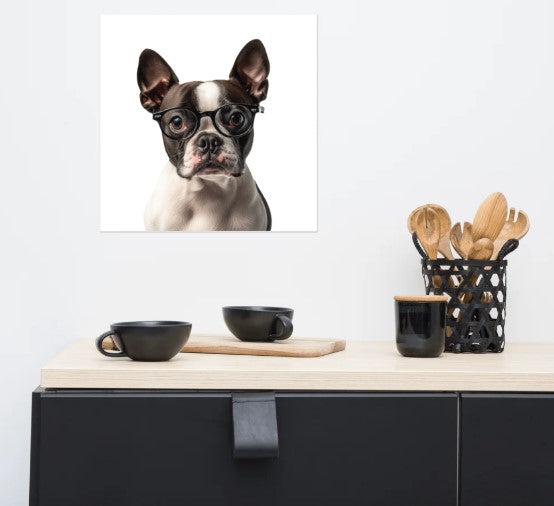 Boston Terrier (with glasses) wall art poster, unframed