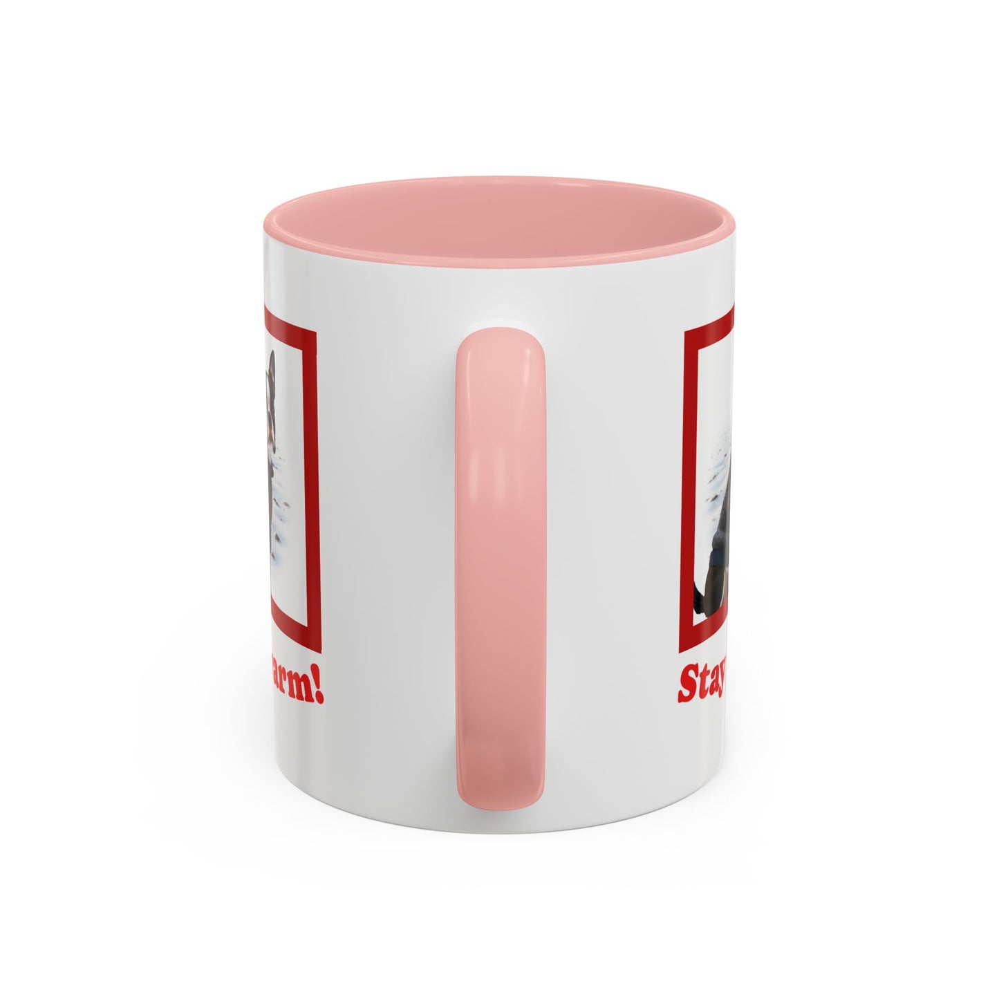 Two-tone Accent 11 oz Coffee Mug w/ Boston Terrier Sweater Dog, by TokyoBill
