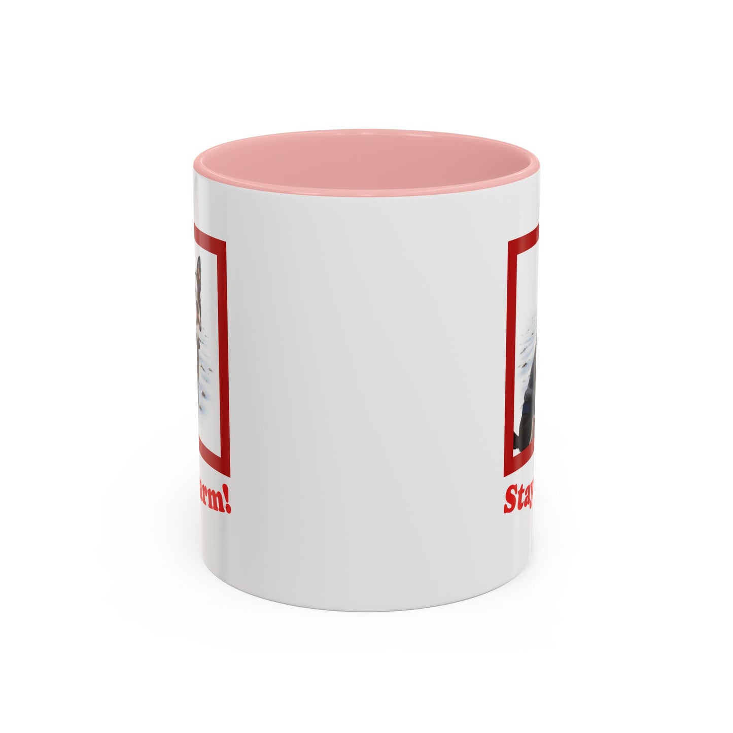Two-tone Accent 11 oz Coffee Mug w/ Boston Terrier Sweater Dog, by TokyoBill