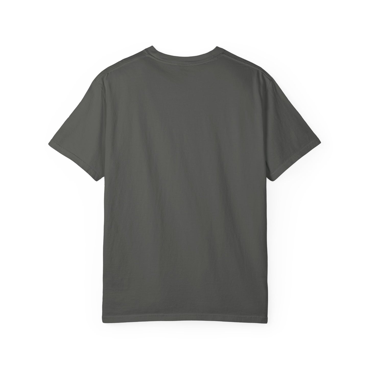 Lion & Sun Iranian Flag, Unisex Garment-Dyed T-shirt, Freedom Tee by TokyoBill