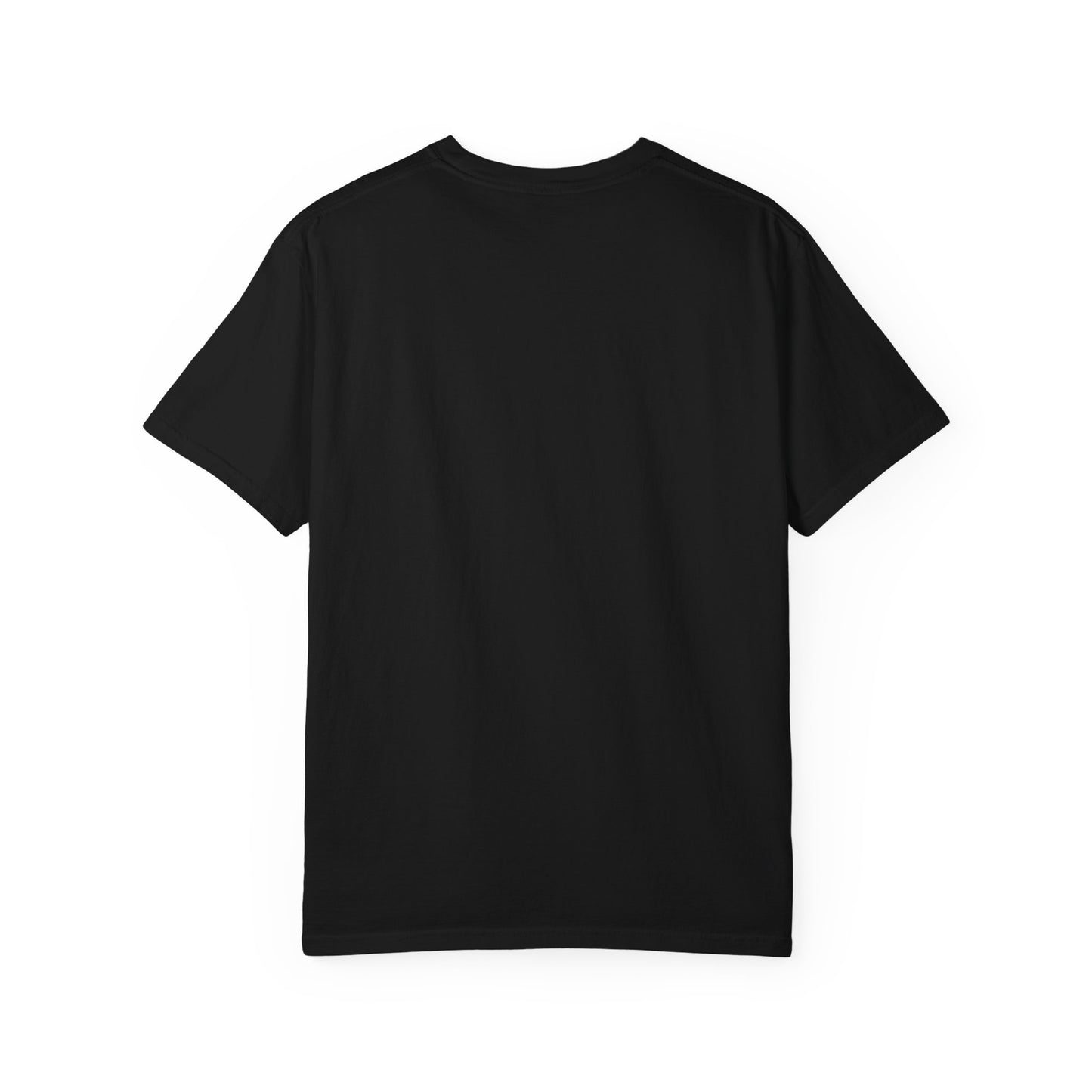 Lion & Sun Iranian Flag, Unisex Garment-Dyed T-shirt, Freedom Tee by TokyoBill
